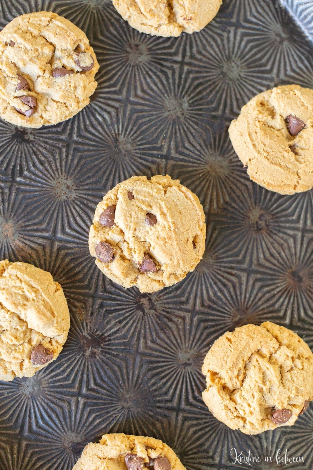 These peanut butter chocolate chip cookies are quick and easy, making them perfect for any day!