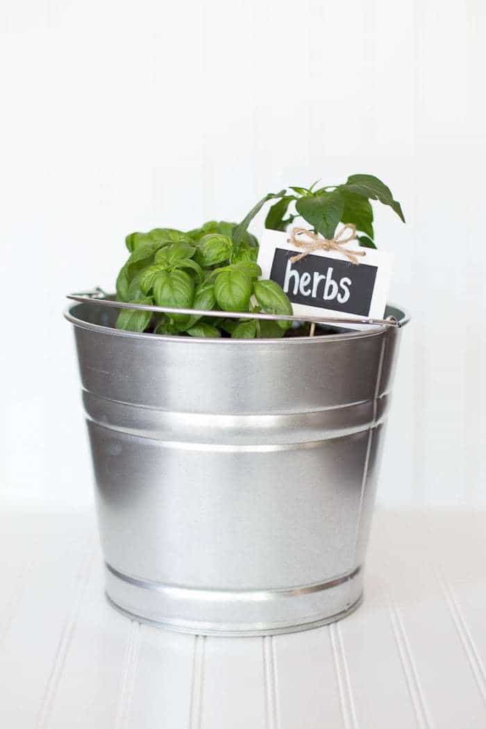 Easy DIY bucket herb garden. Stylish, practical, and portable!