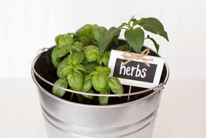 Easy DIY bucket herb garden. Stylish, practical, and portable!