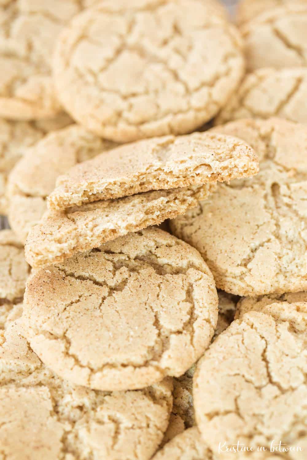 Cookies piled up with one broken in half on the top to show the inside.