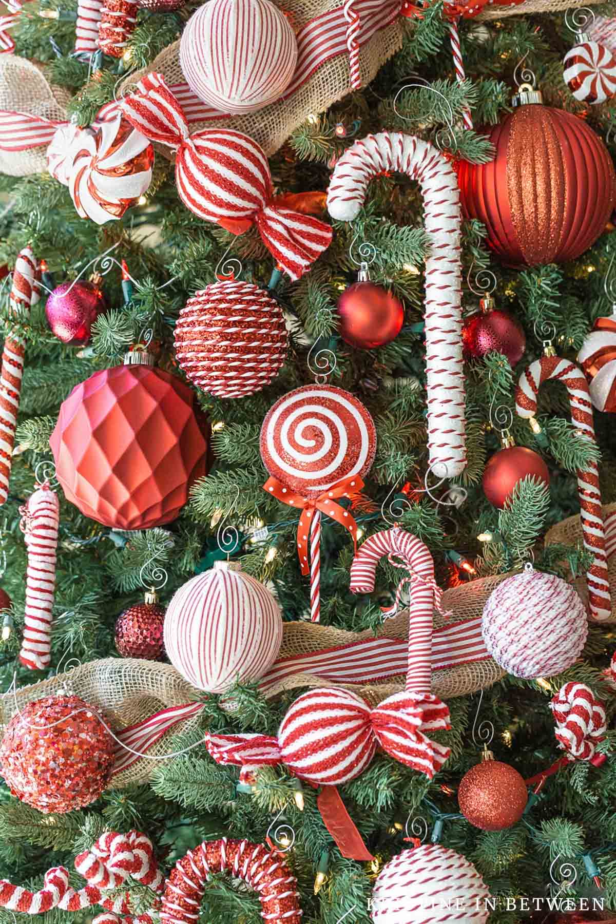 Red and white candy cane ornaments hanging on a Christmas tree.