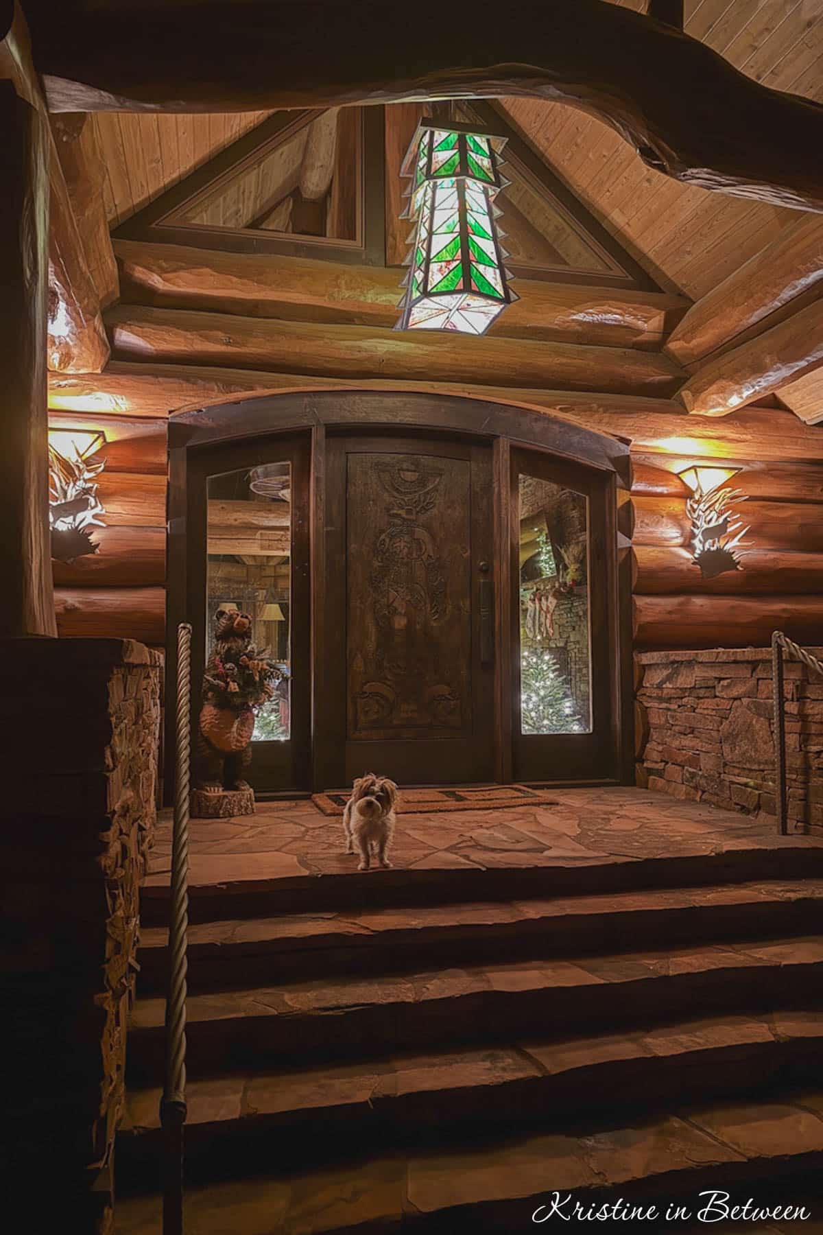 A dog standing on the front porch of a cabin in the evening.